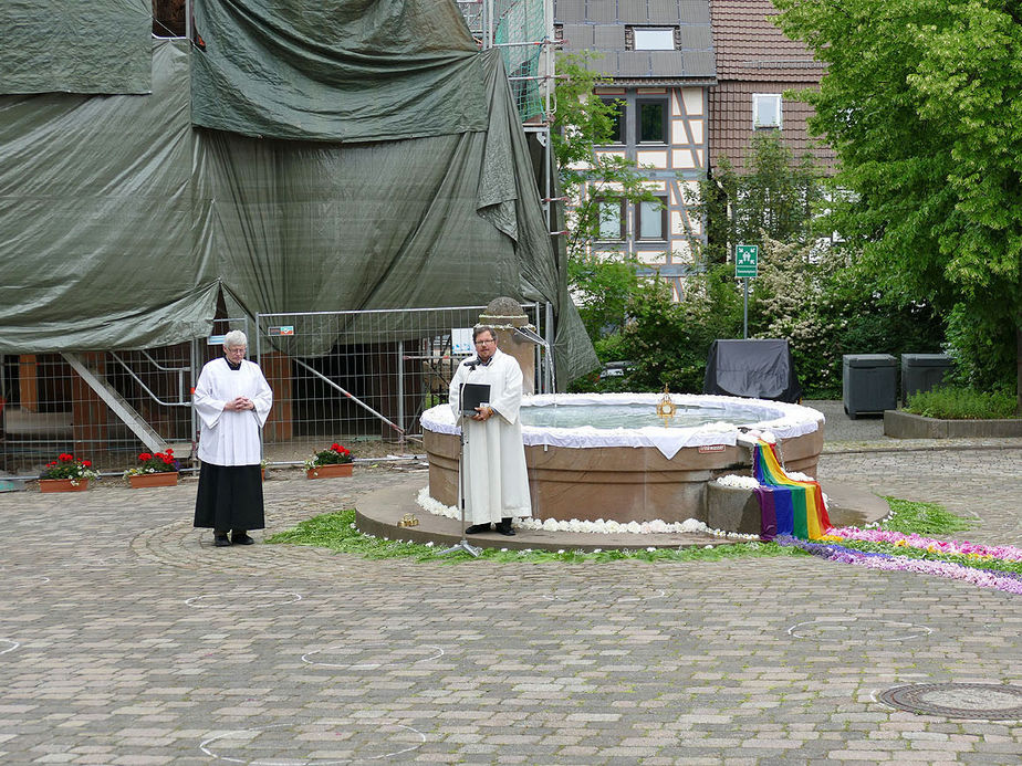 Bluemteppich auf dem Naumburegr Marktplatz (Foto: Karl-Franz Thiede)